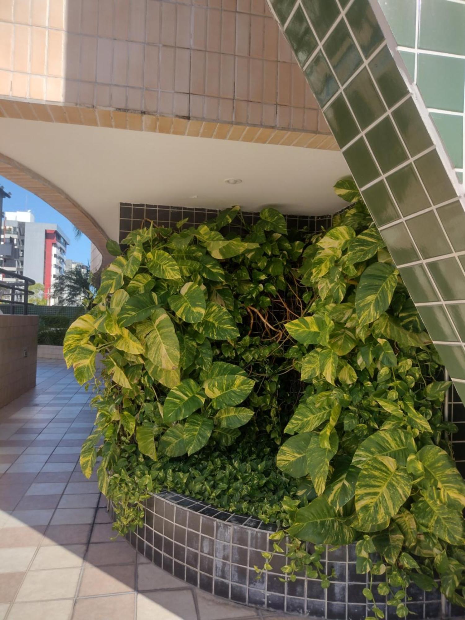 Apartamento Belo Loft Na Ponta Sem Taxa De Energia *