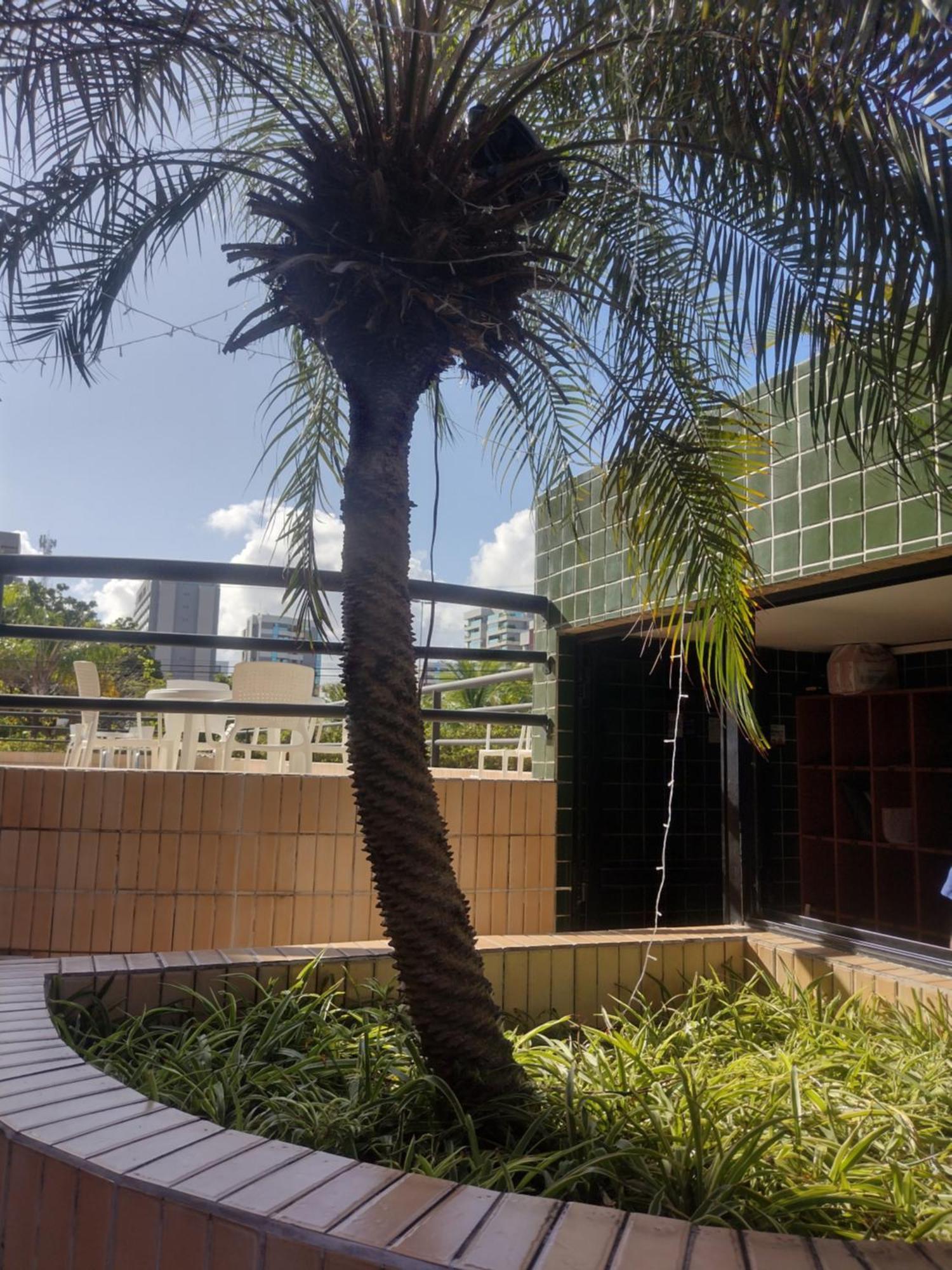 Apartamento Belo Loft Na Ponta Sem Taxa De Energia Maceió